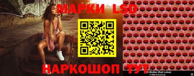 a pvp Свободный