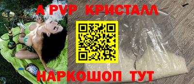 a pvp Свободный