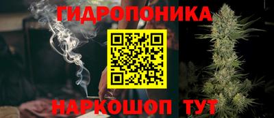 Альфа ПВП Севастополь