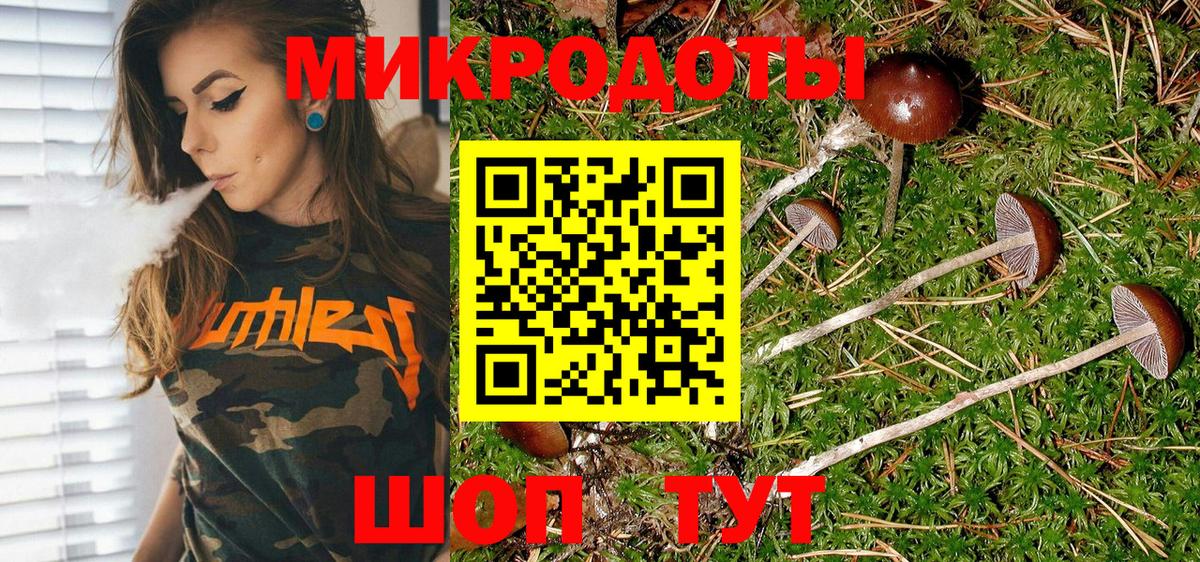 Протвино  где продают   Вход с VPN  Галлюциногенные грибы Psilocybine cubensis 
