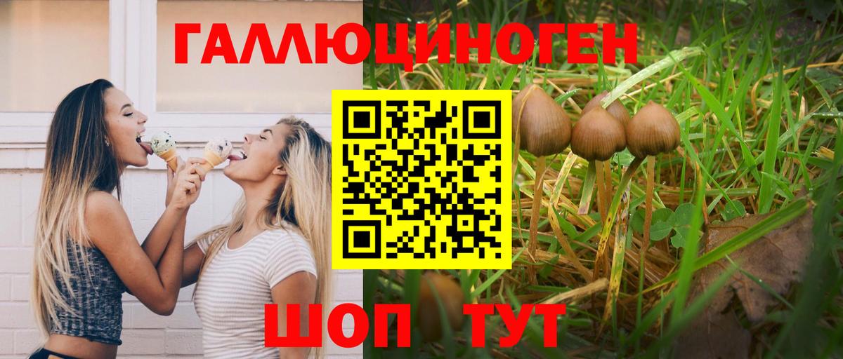 Галлюциногенные грибы GOLDEN TEACHER Протвино